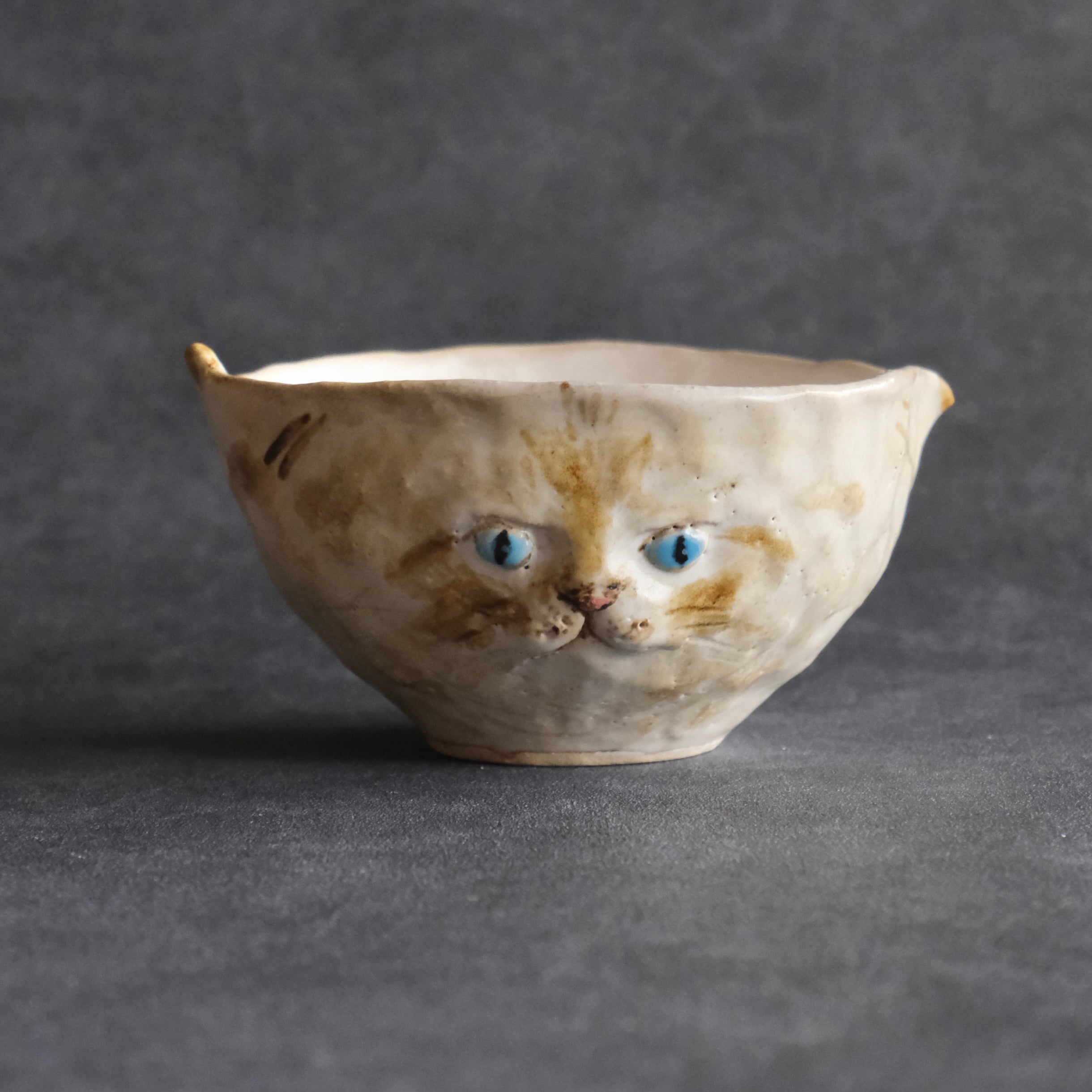 猫 片口 たれ耳・茶・青い瞳