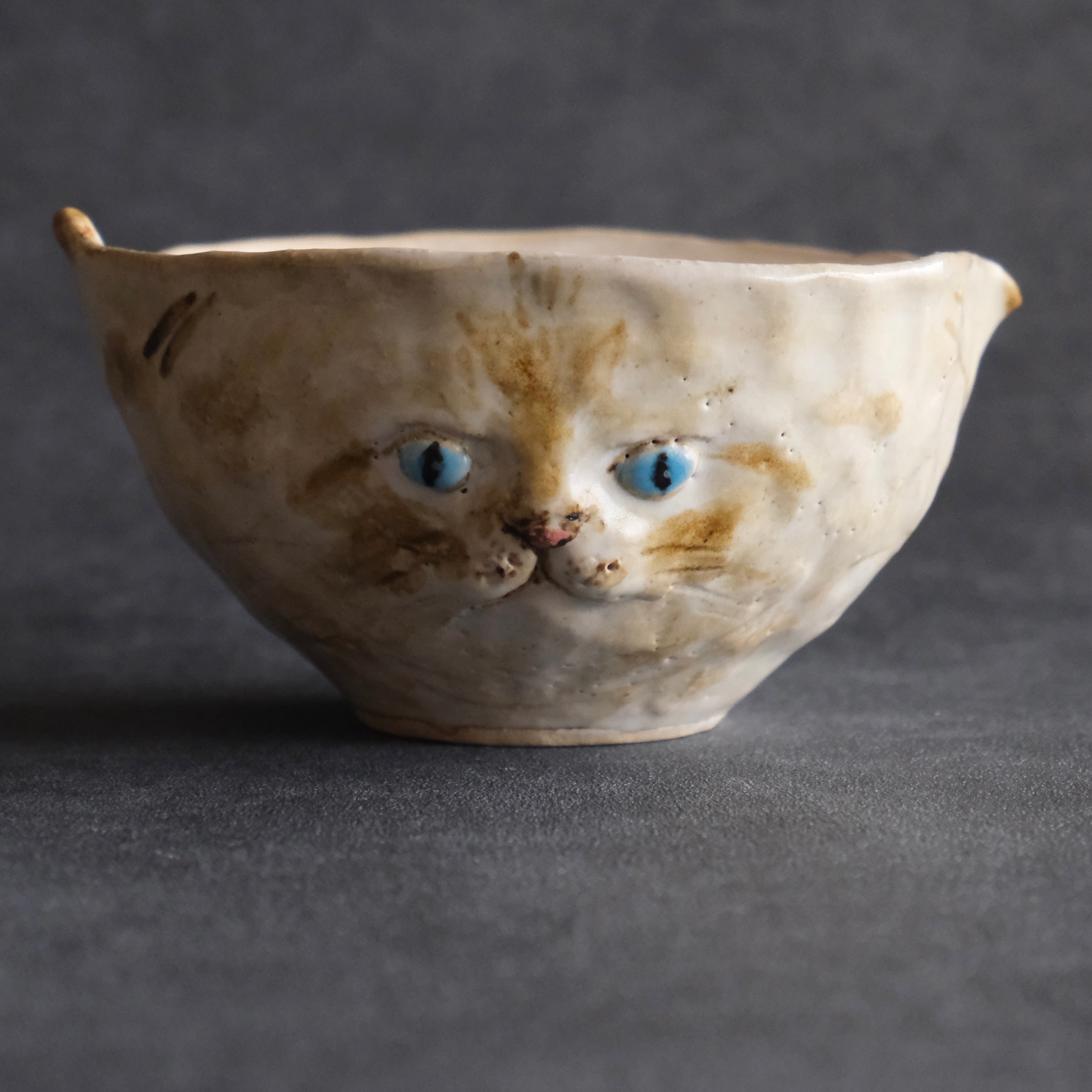 猫 片口　たれ耳・茶・青い瞳