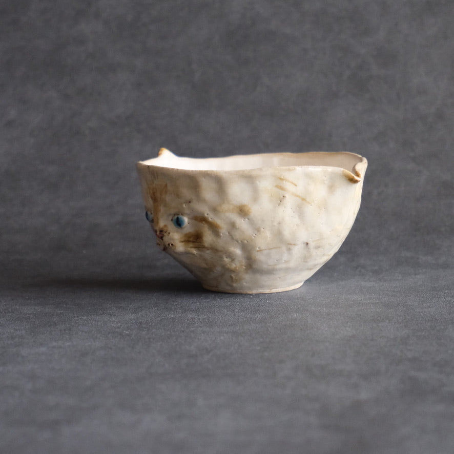 猫 片口　たれ耳・茶・青い瞳