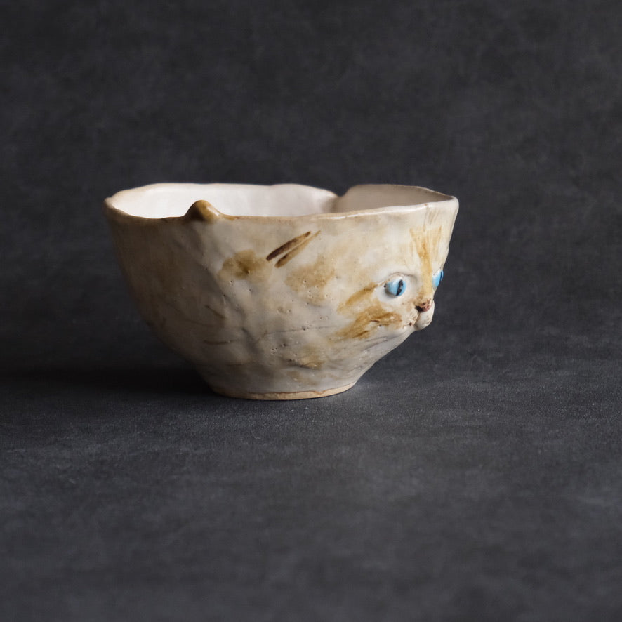 猫 片口　たれ耳・茶・青い瞳